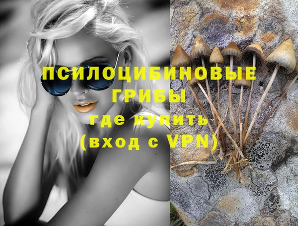 индика Армянск