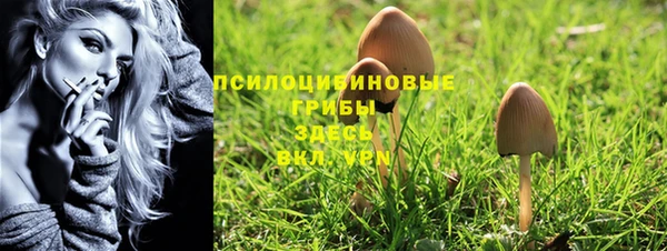 PSILOCYBIN Арсеньев