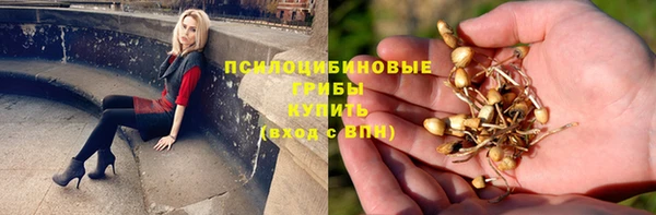 спайс Алзамай