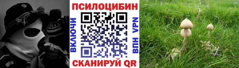 Псилоцибиновые грибы Cubensis  OMG рабочий сайт  Армянск  что такое наркотик 